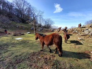 Aire zabaleko ikerketa arkeologikoak Izarraitzen: bisita polita aztarnategian