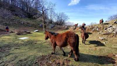 Aire libreko ikerketa arkeologikoak Izarraitzen: bisita polita aztarnategian featured image