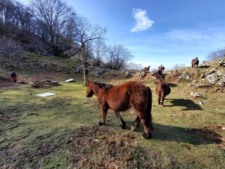 Aire zabaleko ikerketa arkeologikoak Izarraitzen: bisita polita aztarnategian
