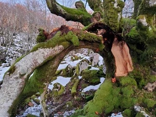 Aire libreko ikerketa arkeologikoak