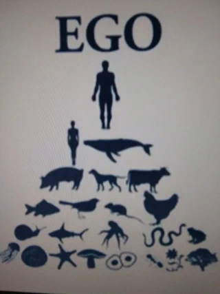 Aire libreko ikerketa arkeologikoak