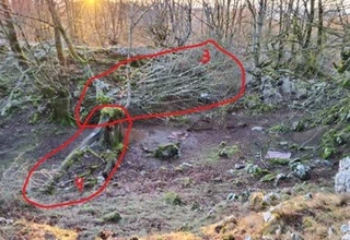 Aire libreko ikerketa arkeologikoak