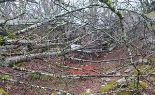 Aire libreko ikerketa arkeologikoak