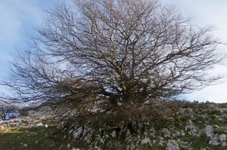 Aire libreko ikerketa arkeologikoak