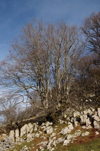 Aire libreko ikerketa arkeologikoak