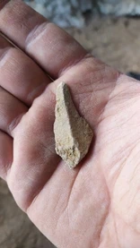 Amalda III kobazuloa