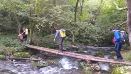 Amalda III kobazuloa