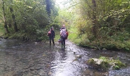 Amalda III kobazuloa