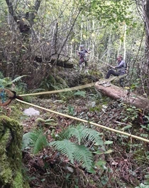 Amalda III kobazuloa