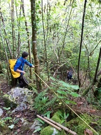 Amalda III kobazuloa