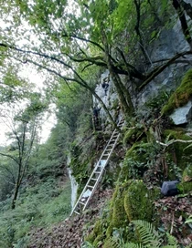 Amalda III kobazuloa