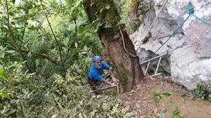 Amalda III kobazuloa