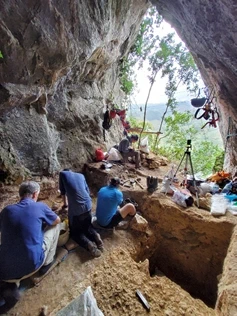 Amalda III kobazuloa