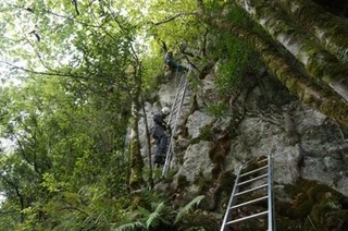 Amalda III prestakuntza lanak