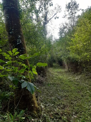 Amalda III kobazuloko indusketa 2025