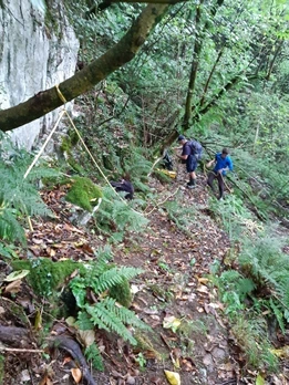 Zestoako Baio kobazuloa