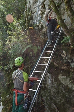 Zestoako Baio kobazuloa