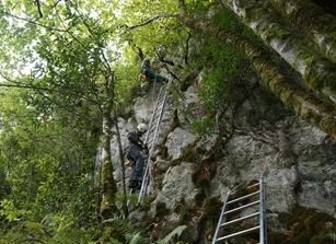 Zestoako Baio kobazuloa