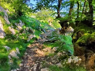 Aspaldiko partez taldeko irteera mendira