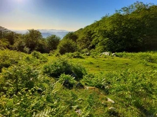 Aspaldiko partez taldeko irteera mendira
