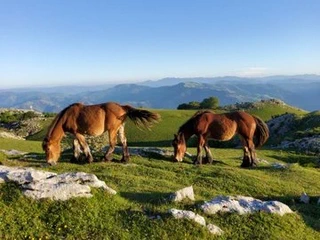 Aspaldiko partez taldeko irteera mendira