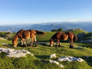 Aspaldiko partez taldeko irteera mendira