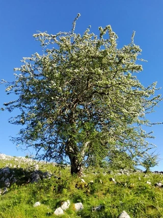 Aspaldiko partez taldeko irteera mendira