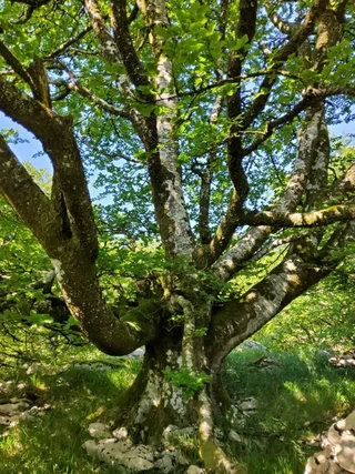 Aspaldiko partez taldeko irteera mendira