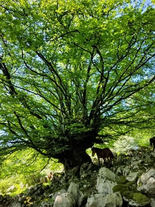 Aspaldiko partez taldeko irteera mendira
