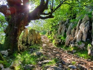 Aspaldiko partez taldeko irteera mendira