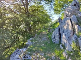 Aspaldiko partez taldeko irteera mendira
