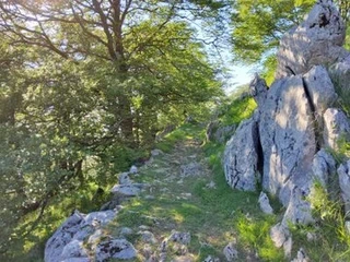 Aspaldiko partez taldeko irteera mendira