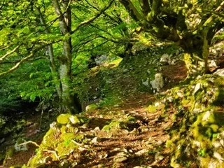 Aspaldiko partez taldeko irteera mendira