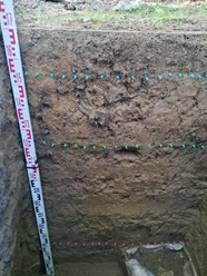 Asurtzu 2021 proiektua