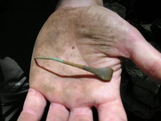 Asurtzu 2021 proiektua