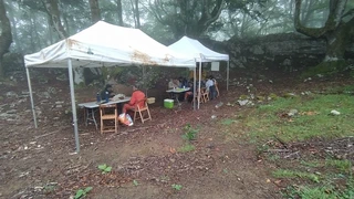 Asurtzu-Erlo-Azpeitia