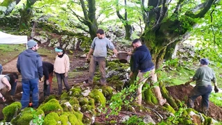 Asurtzu-Erlo-Azpeitia