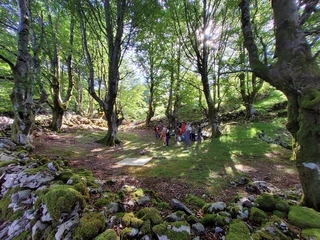 Asurtzu-Erlo-Azpeitia