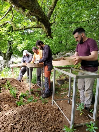 Asurtzu-Erlo-Azpeitia