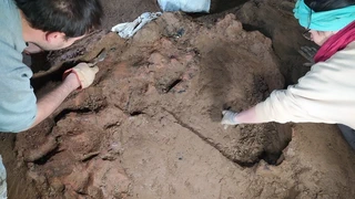 Asurtzu-Erlo-Azpeitia