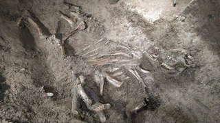 Asurtzu-Erlo-Azpeitia