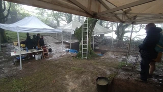 Asurtzu-Erlo-Azpeitia