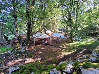 Asurtzu-Erlo-Azpeitia