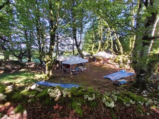 Asurtzu-Erlo-Azpeitia