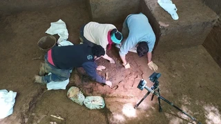 Asurtzu-Erlo-Azpeitia