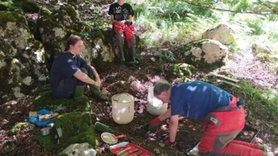 Azpeitiko lehen herrixkaren usnan featured image