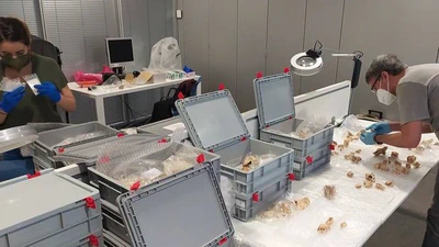 Baio kobazuloko aztarnategi arkeologikoa featured image