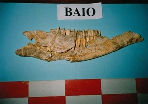 Zestoako Baio kobazuloa