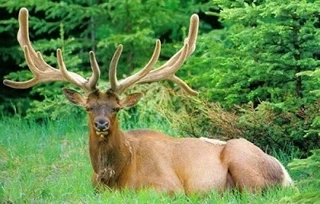 Amalda III haitzuloan 2023ko landa lan nagusiak, bukatuta