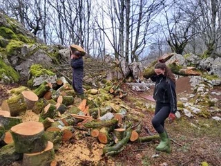 Elurtean jausitako zuhaitzak kenduta, Asurtzuko aztarnategia garbi